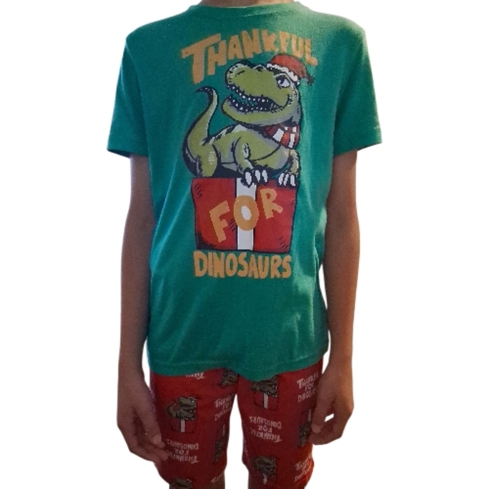 Cat & Jack Dinosaur Holiday Short Sleeve And Shorts Boys Pajama Set